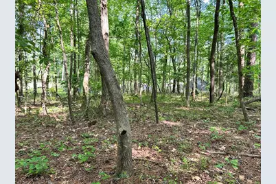 5219 Union Hill Road, Alpharetta, GA 30004 - Photo 13