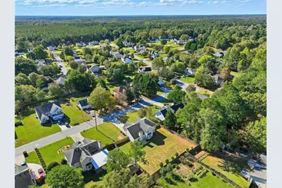 245 Fox Run, Loganville, GA 30052 - Photo 39