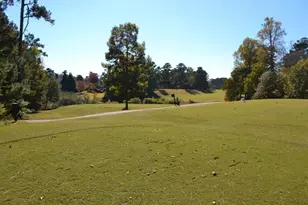 1007 Sycamore Ln, Villa Rica, GA 30180 - Photo 15