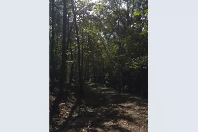 3746 Leach Road, Gainesville, GA 30506 - Photo 3