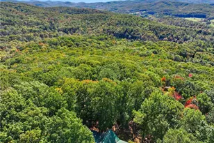 74 Sam Allen Mountain Rd, Ellijay, GA 30536 - Photo 43