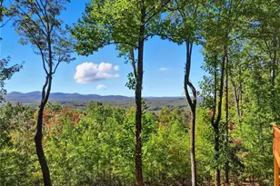 74 Sam Allen Mountain Rd, Ellijay, GA 30536 - Photo 37