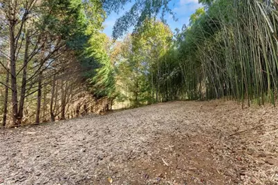 5834 Old Dahlonega Highway, Murrayville, GA 30564 - Photo 61