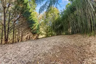 5834 Old Dahlonega Hwy, Murrayville, GA 30564 - Photo 61