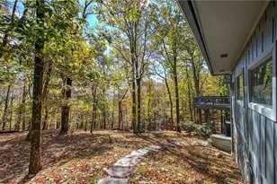 450 Little Hendricks Mountain Rd, Jasper, GA 30143 - Photo 53