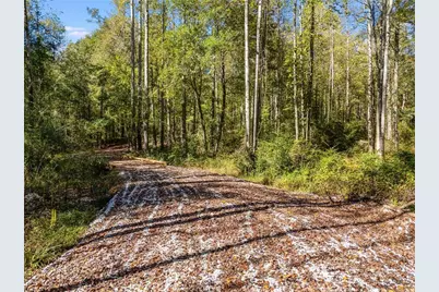 0000 Hog Liver Road, Carrollton, GA 30117 - Photo 3