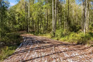 0000 Hog Liver Rd, Carrollton, GA 30117 - Photo 1