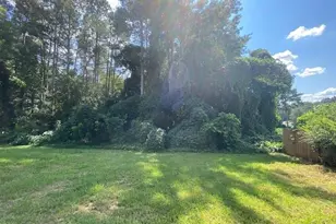 165 Blackwell St, Ball Ground, GA 30107 - Photo 3