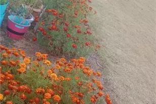 3370 Westgate Park Dr, Loganville, GA 30052 - Photo 27