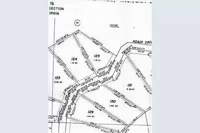 125 Adair Drive NE, Ranger, GA 30734 - Photo 3