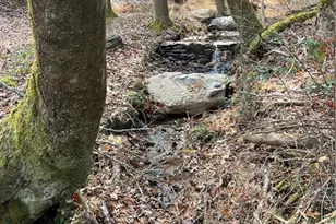 88 Brown Mountain Pl, Suches, GA 30572 - Photo 31