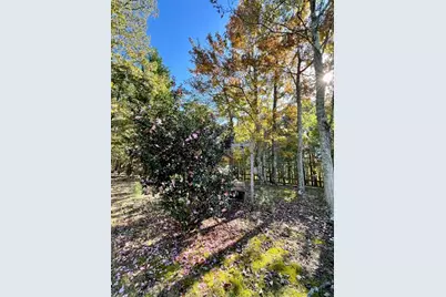 1036 Wards Creek Drive, Dahlonega, GA 30533 - Photo 27