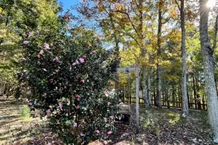 1036 Wards Creek Dr, Dahlonega, GA 30533 - Photo 27