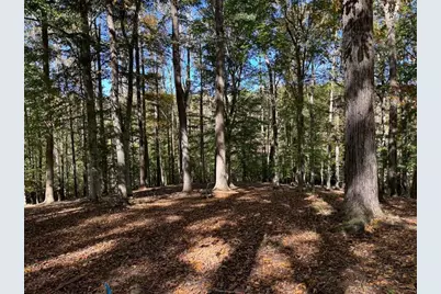 756 Roper Road, Canton, GA 30115 - Photo 15