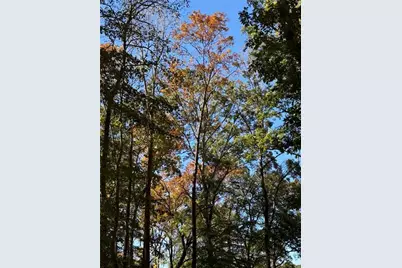 756 Roper Road, Canton, GA 30115 - Photo 17