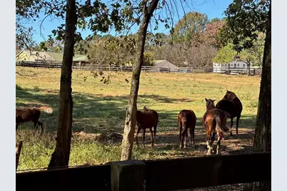756 Roper Road, Canton, GA 30115 - Photo 5