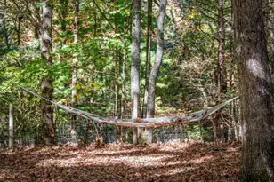 196 Ethan Wilson Way, Morganton, GA 30560 - Photo 39