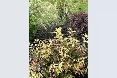 119 Satcher Road, Taylorsville, GA 30178 - Photo 175