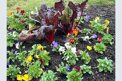 119 Satcher Road, Taylorsville, GA 30178 - Photo 123