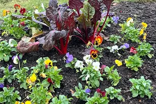 119 Satcher Rd, Taylorsville, GA 30178 - Photo 123