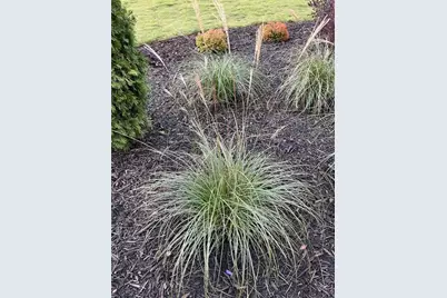 119 Satcher Road, Taylorsville, GA 30178 - Photo 177