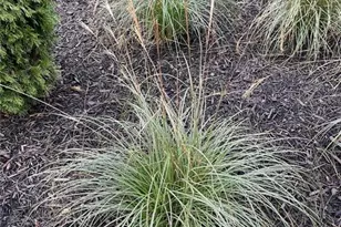 119 Satcher Rd, Taylorsville, GA 30178 - Photo 177