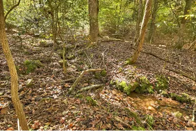 40 Cadet Court, Ellijay, GA 30540 - Photo 41