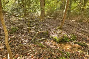 40 Cadet Ct, Ellijay, GA 30540 - Photo 41