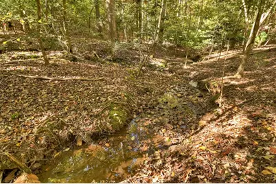 40 Cadet Court, Ellijay, GA 30540 - Photo 39