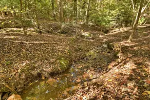 40 Cadet Ct, Ellijay, GA 30540 - Photo 39