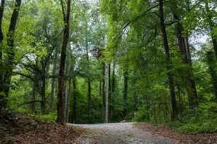 5975 Skylar Dr, Atlanta, GA 30336 - Photo 59