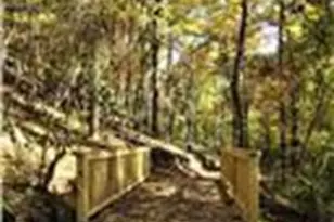 110 Red Cloud Walk, Waleska, GA 30183 - Photo 29