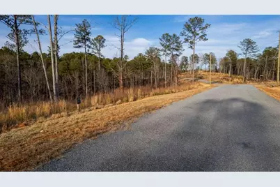 Lt 177 Shallow Water Way, Talking Rock, GA 30175 - Photo 3
