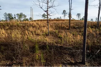 Lt 177 Shallow Water Way, Talking Rock, GA 30175 - Photo 27