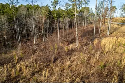 Lt 177 Shallow Water Way, Talking Rock, GA 30175 - Photo 23