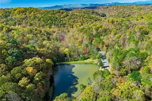 383 Acadia Dr, Ellijay, GA 30540 - Photo 33