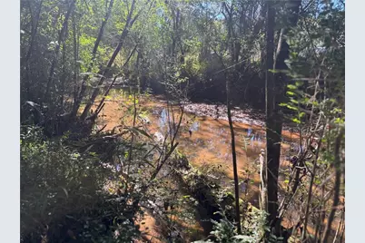 0 Roseberry Lane, Murrayville, GA 30564 - Photo 7