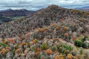 2479 Plum Orchard Rd, Clayton, GA 30525 - Photo 69