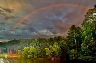 208 Westbury Ct, Canton, GA 30114 - Photo 79