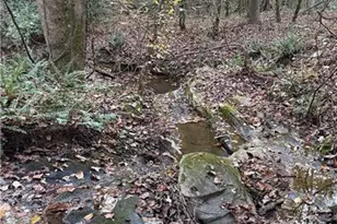 2640 Banning Rd, Carrollton, GA 30116 - Photo 39