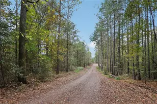 5467 Hwy 162 S, Covington, GA 30016 - Photo 11