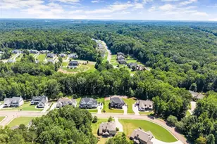 845 Walnut River Trail, Hoschton, GA 30548 - Photo 69