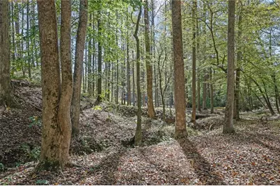 2325 Mountain Road, Alpharetta, GA 30004 - Photo 57