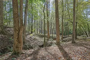 2325 Mountain Rd, Alpharetta, GA 30004 - Photo 57