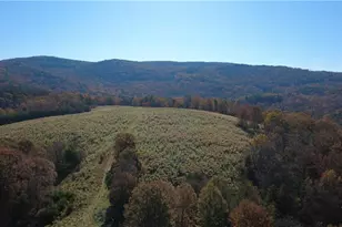 1350 Stivers Rd, Jasper, GA 30143 - Photo 33