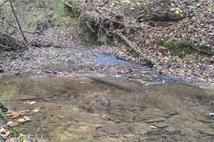 1350 Stivers Rd, Jasper, GA 30143 - Photo 41