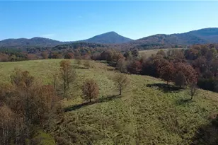 1350 Stivers Rd, Jasper, GA 30143 - Photo 23