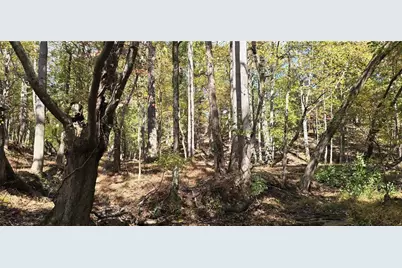 1350 Stivers Road, Jasper, GA 30143 - Photo 45