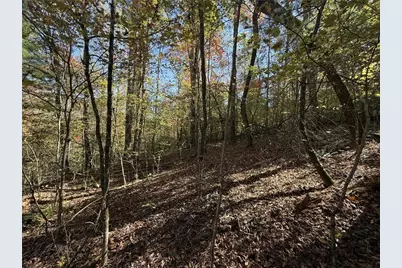 00 Heritage Way, Ellijay, GA 30540 - Photo 9