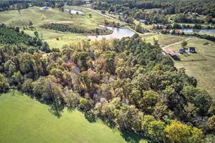 647 Knightbottom Road SE, Fairmount, GA 30139 - Photo 59